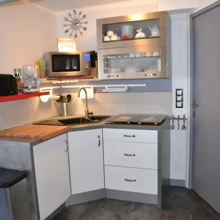 Apartment Mont-dore Duplex 40m² Avec Balcon, Wifi Et Parking - Fr-1-608-51